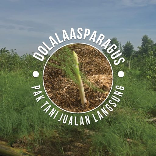jual sayuran asparagus di Depok