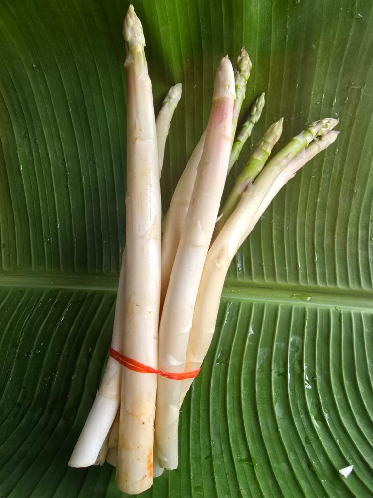 jual sayuran asparagus di Depok
