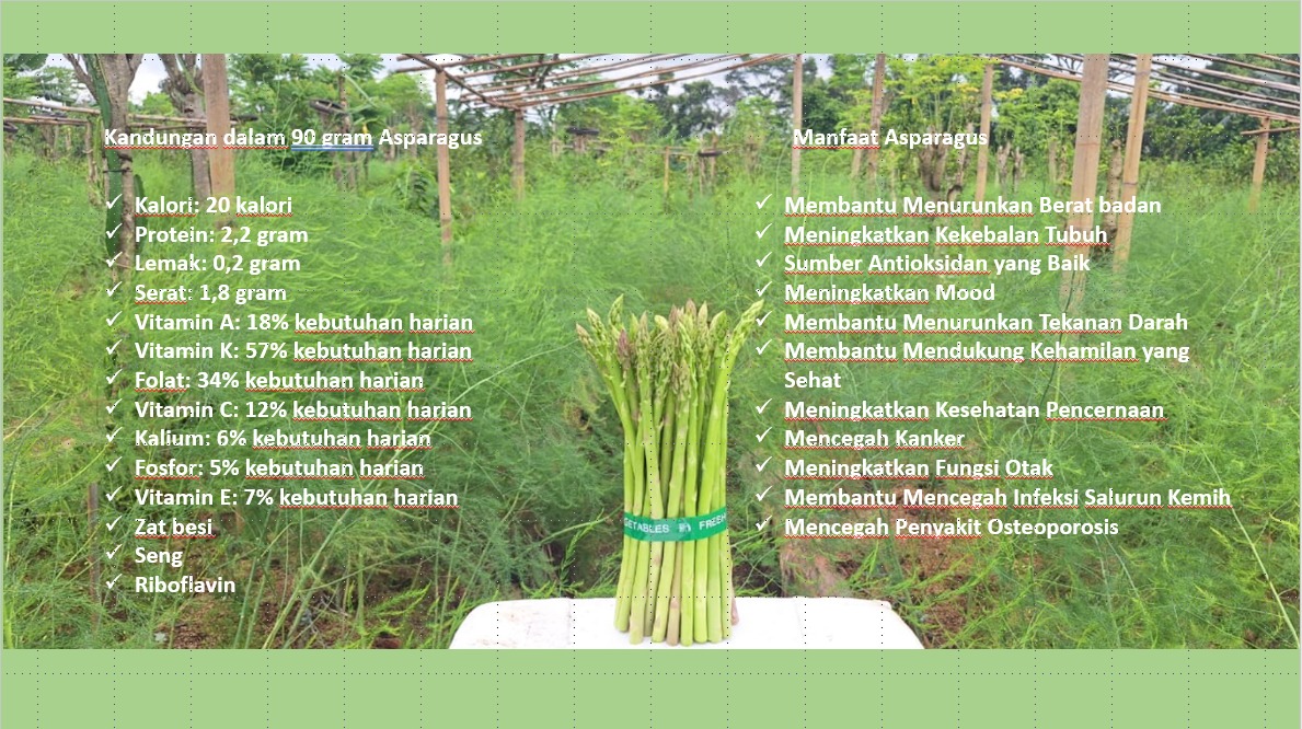 asparagus