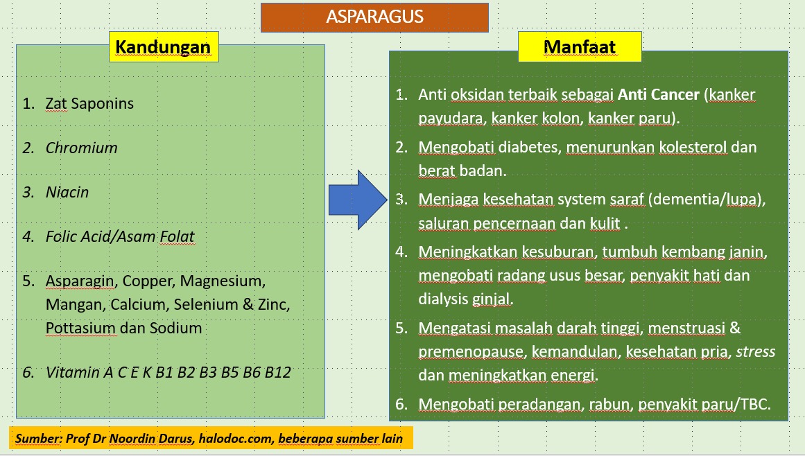 khasiat asparagus
