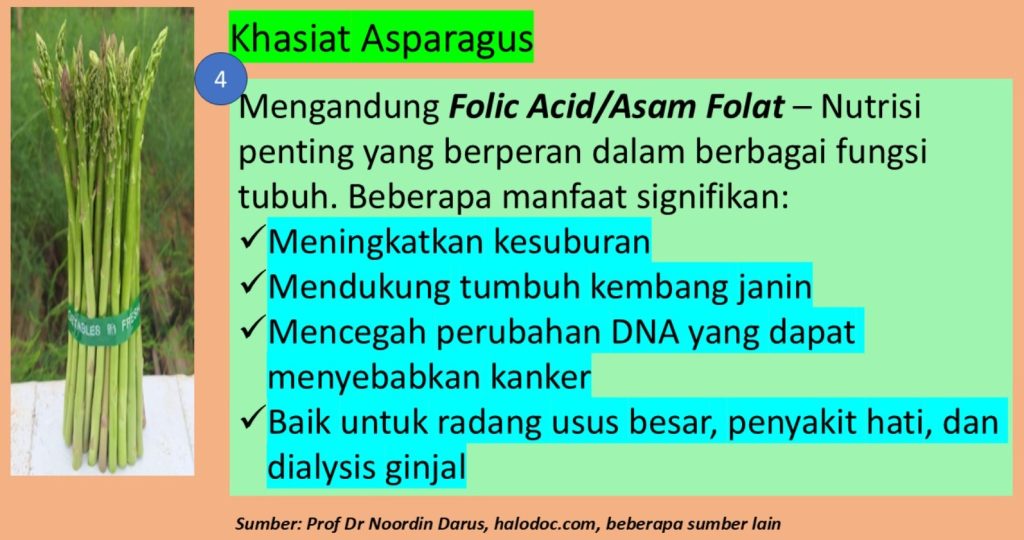 khasiat asparagus