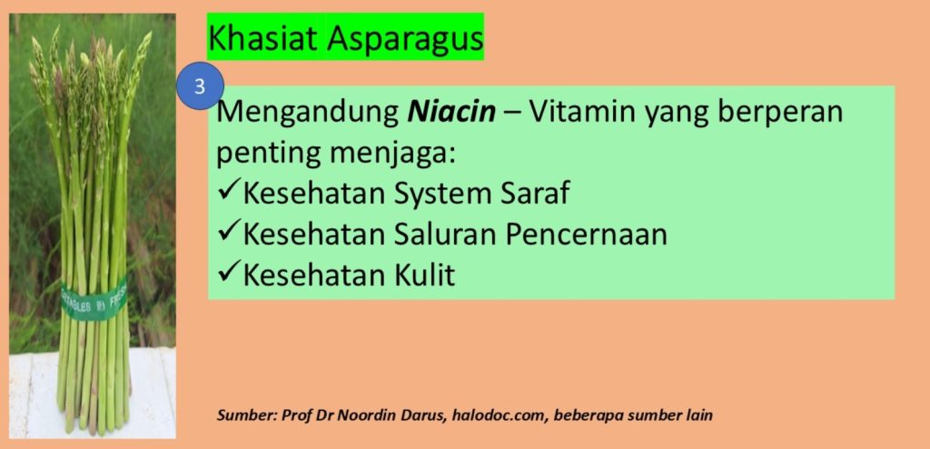 khasiat asparagus
