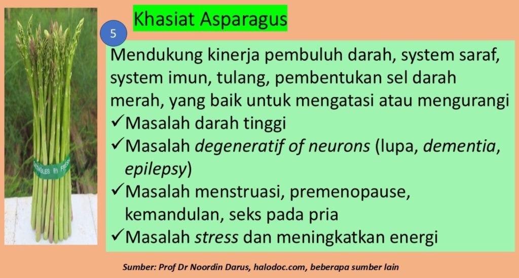 khasiat asparagus