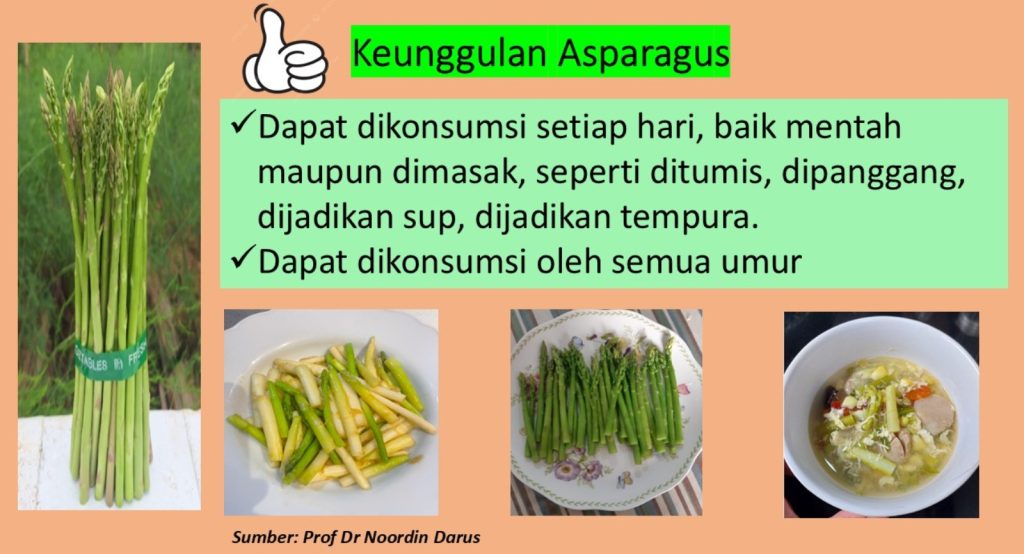 khasiat asparagus