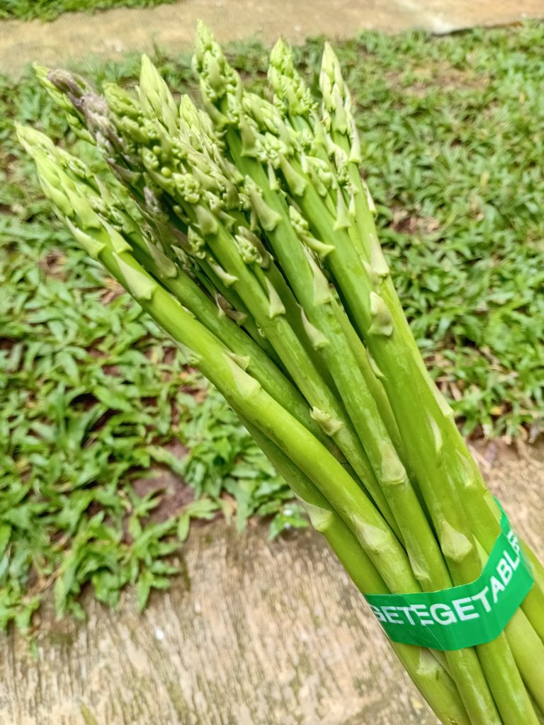 Harga Asparagus di Indonesia