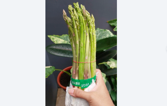 Jual Asparagus Segar di Bogor